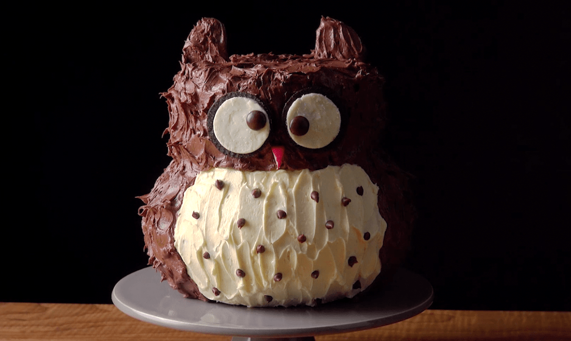 Cozy Owl Cake Cozy Owl Cake